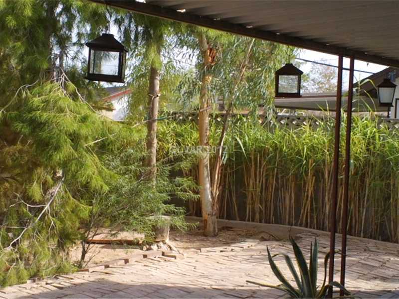 3050 South Lindell Road Las Vegas, NV 89146 - Photo 23 of 35 Yard/Garden.