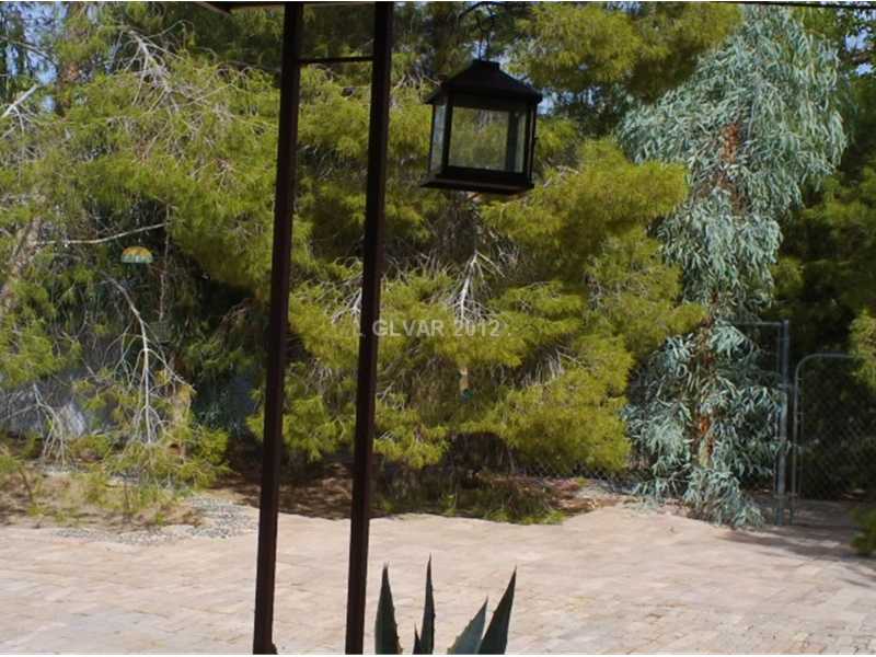 3050 South Lindell Road Las Vegas, NV 89146 - Photo 24 of 35 Yard/Garden.