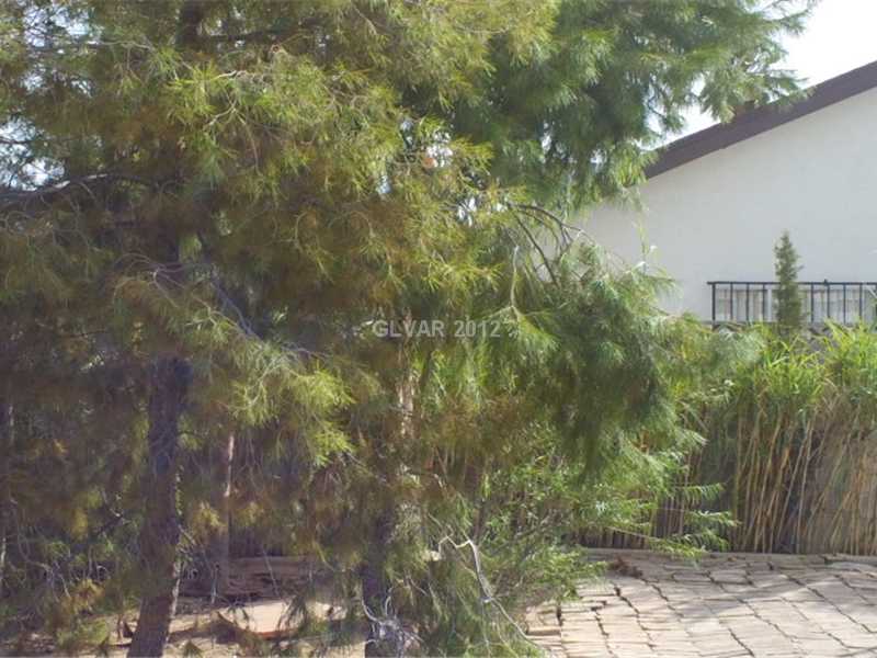 3050 South Lindell Road Las Vegas, NV 89146 - Photo 32 of 35 Yard/Garden.