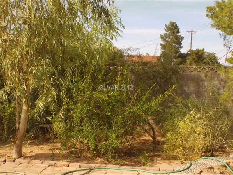 3050 South Lindell Road Las Vegas, NV 89146 - Photo 34 of 35 Yard/Garden.