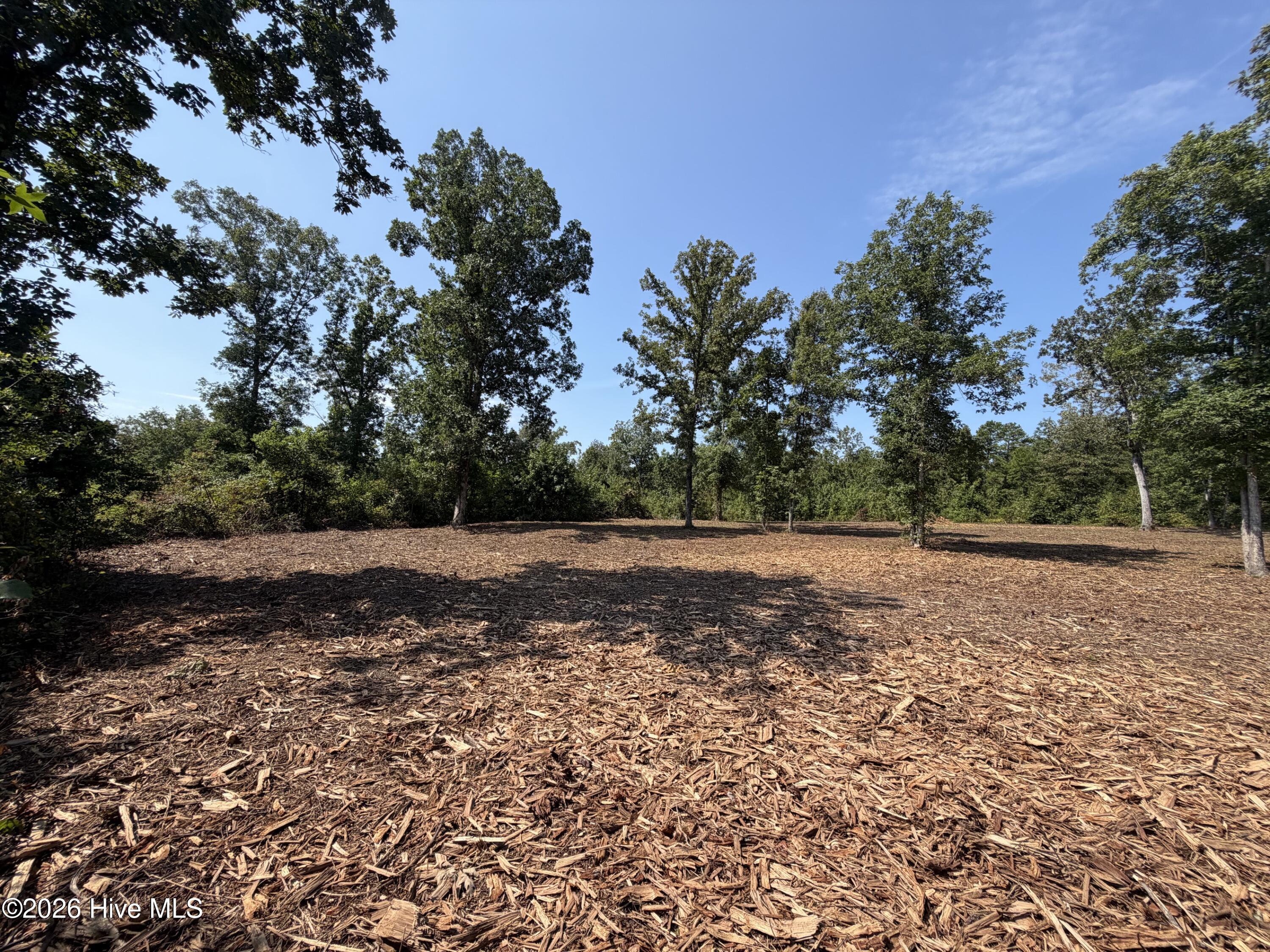 0 Poole Melton Road Blythe, GA 30805 - Photo 7 of 14 Gallery Image 7