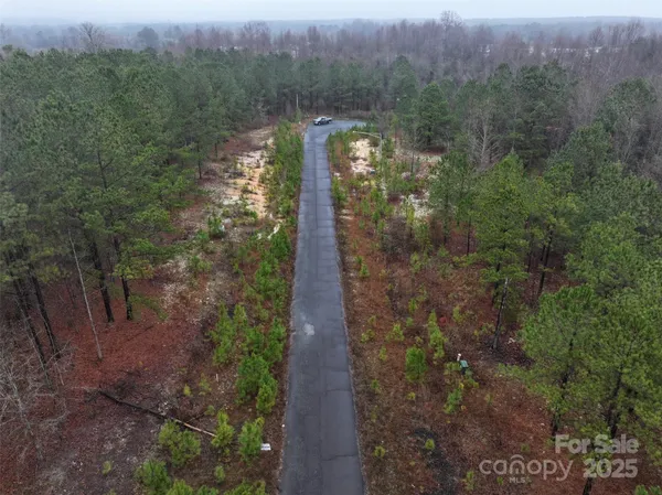 a view of a pathway both side of a forest