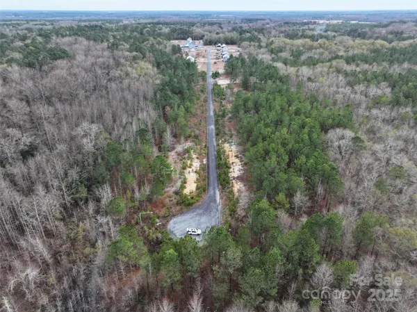 an aerial view of forest