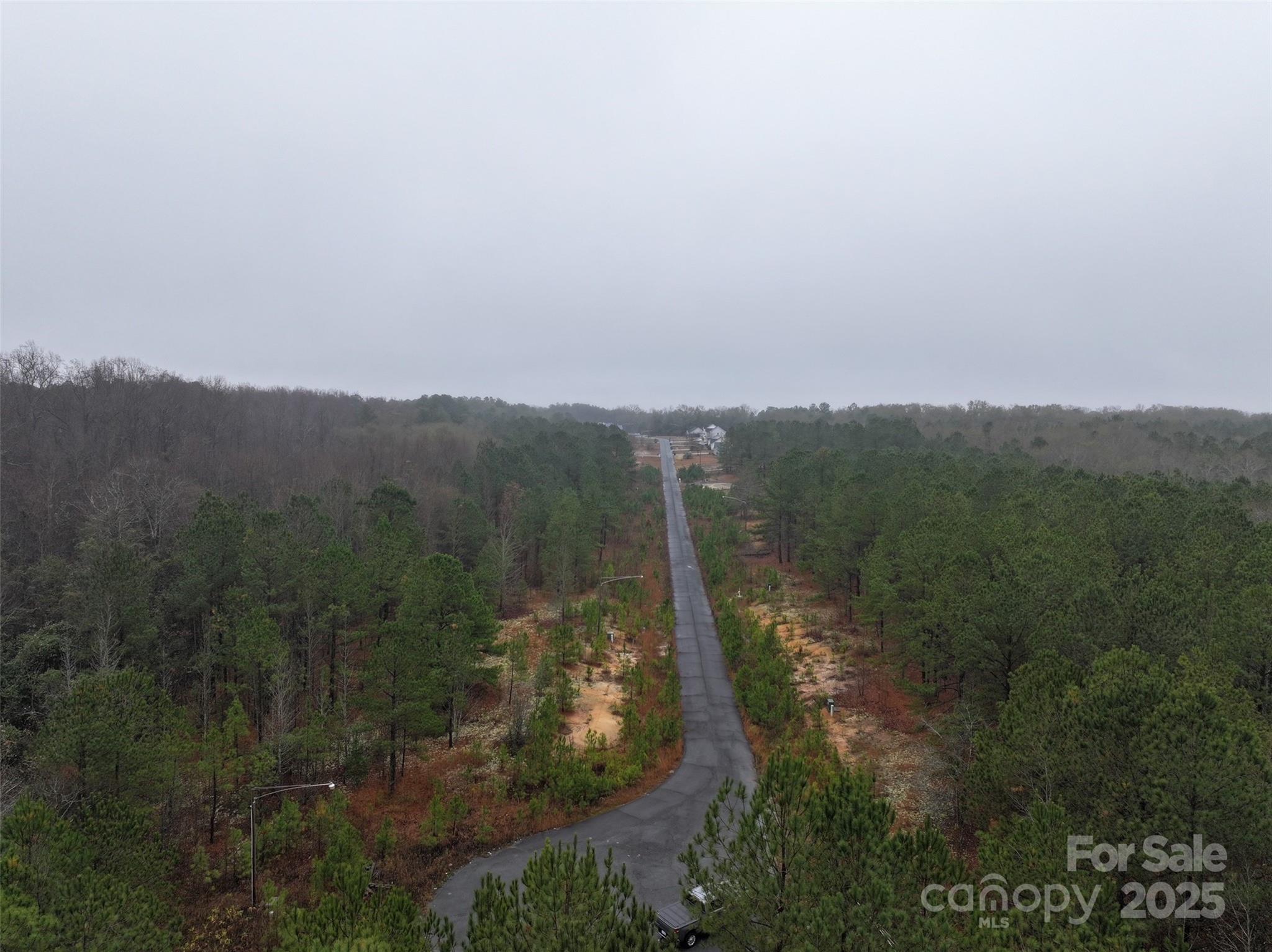 Tbd Deberry Way Morven, NC 28119 - Photo 3 of 11 a view of a city with lush green forest