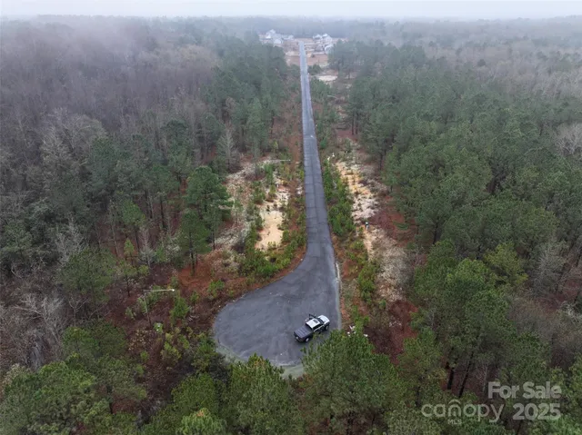 a view of a forest with a house in a forest