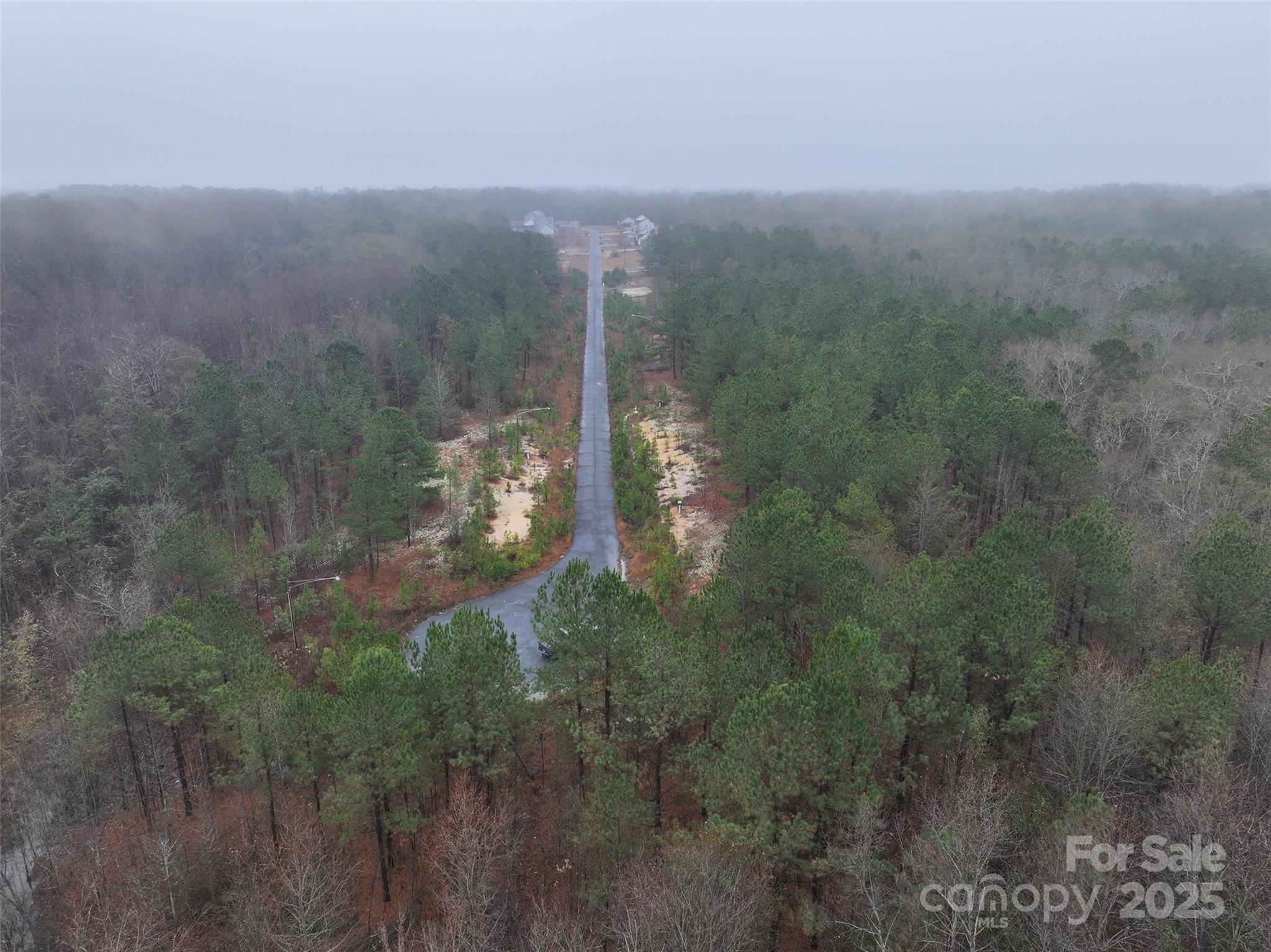 Tbd Deberry Way Morven, NC 28119 - Photo 6 of 11 a view of a forest with a yard