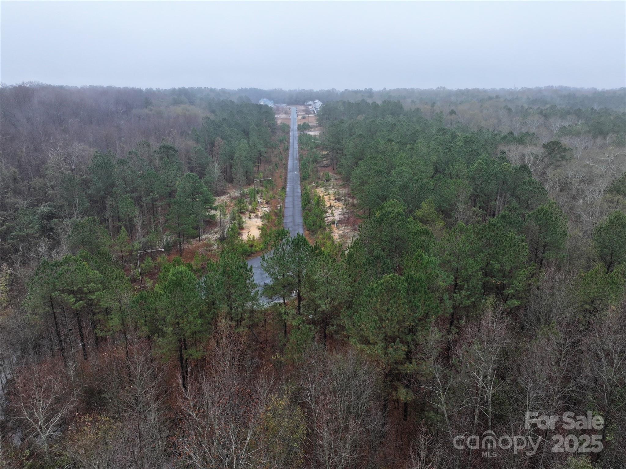 Tbd Deberry Way Morven, NC 28119 - Photo 7 of 11 a view of a forest with a street