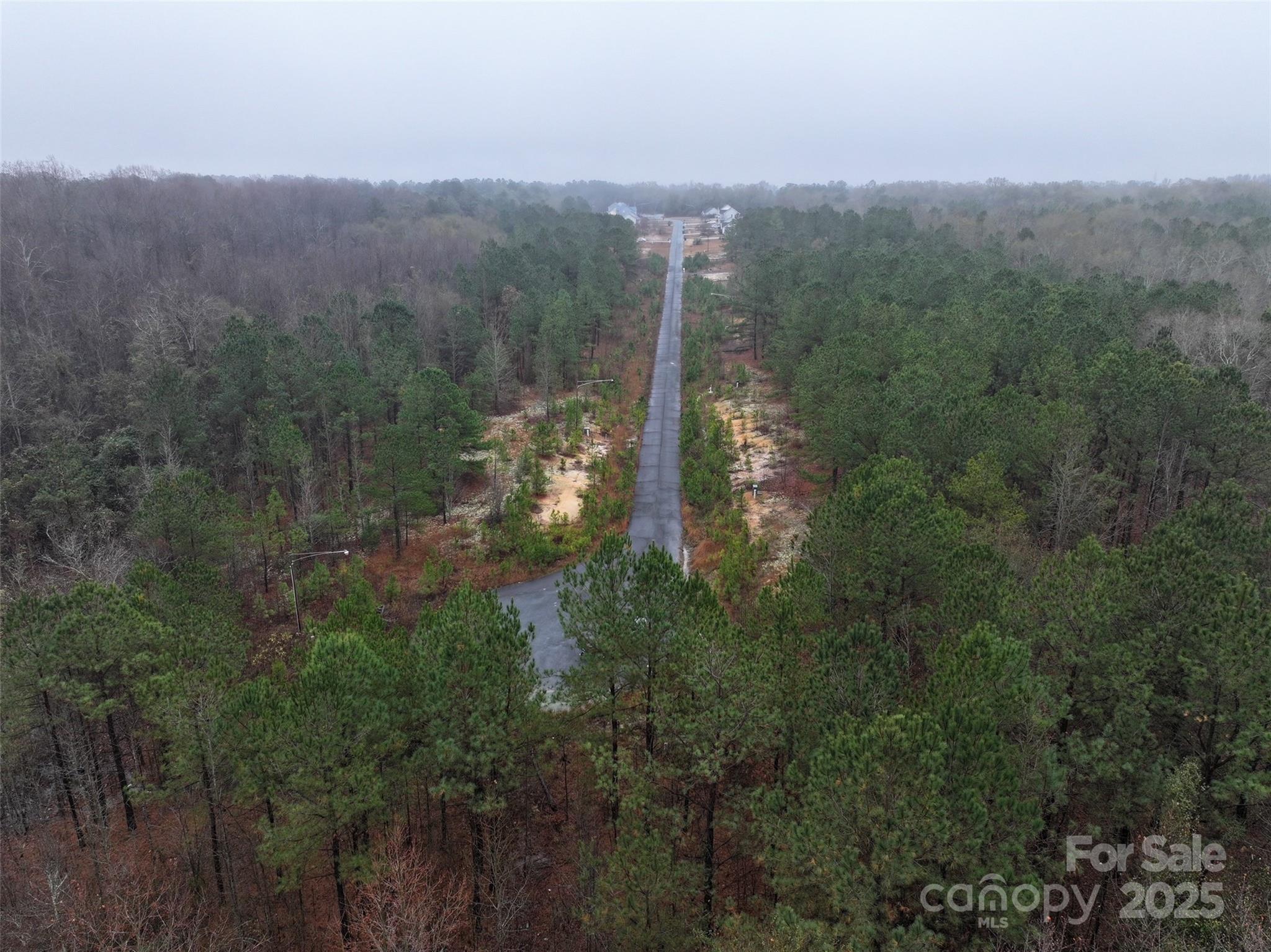 Tbd Deberry Way Morven, NC 28119 - Photo 8 of 11