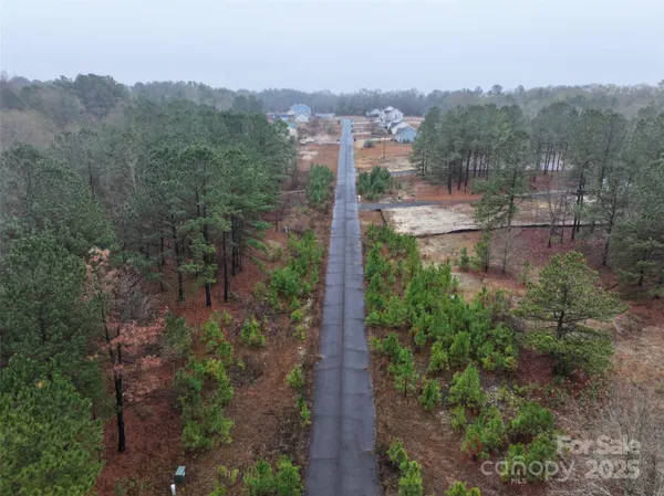 a view of a yard with plants and a tree