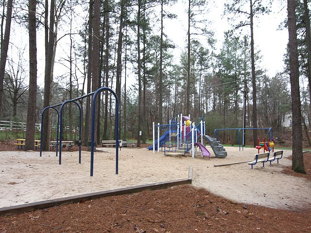 5305 Back Sail Court Raleigh, NC 27613 - Photo 17 of 18 This is great for the neighborhood kids...run and have fun! Playground