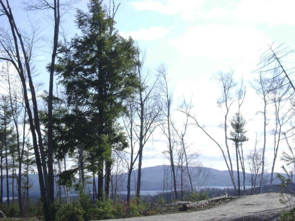 Lot 9 Granite Ridge Road Sunapee, NH 03782 - Photo 1 of 1 Gallery Image 1