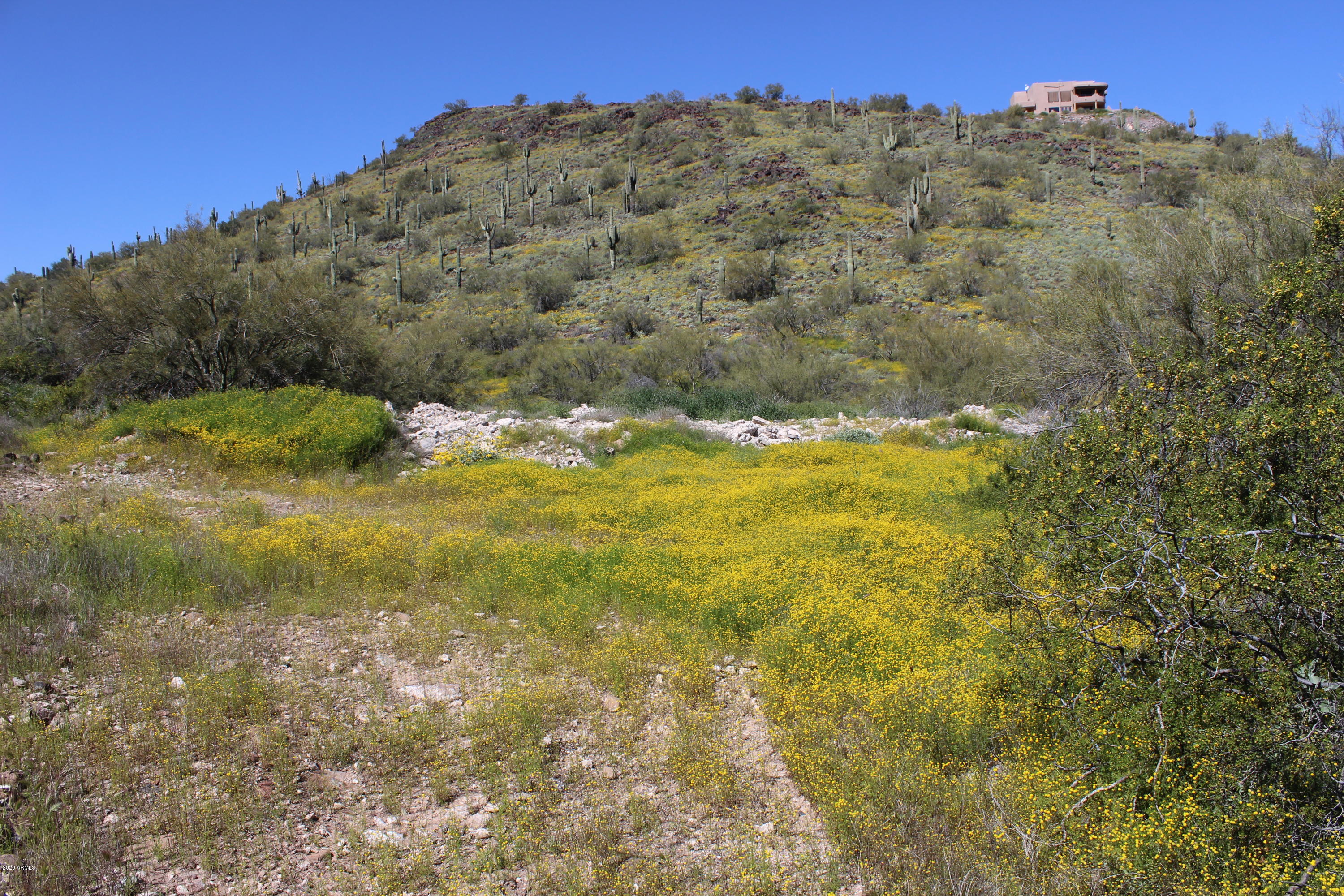 3101 West Joy Ranch Road Phoenix, AZ 85086 - Photo 1 of 13 IMG_1900