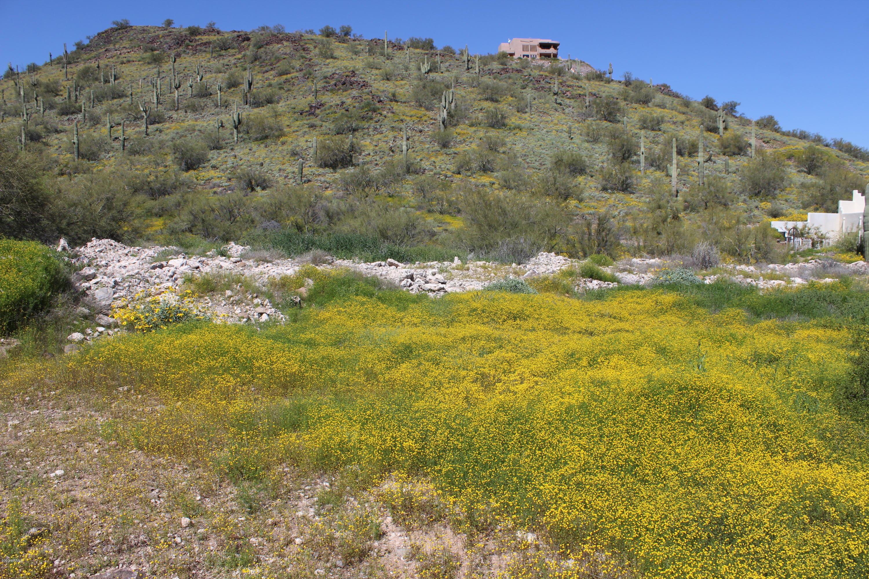 3101 West Joy Ranch Road Phoenix, AZ 85086 - Photo 3 of 13 IMG_1902