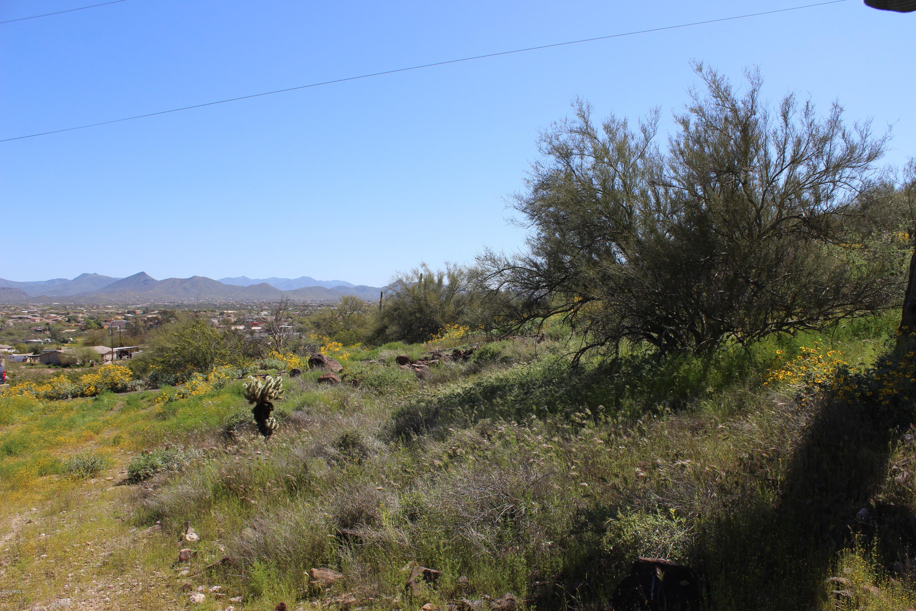 3101 West Joy Ranch Road Phoenix, AZ 85086 - Photo 5 of 13 IMG_1904