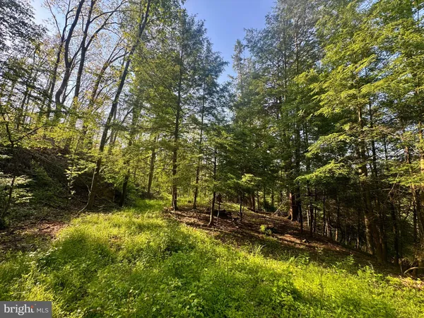 $150,000 | John Orr Road, Independence, WV 26374
