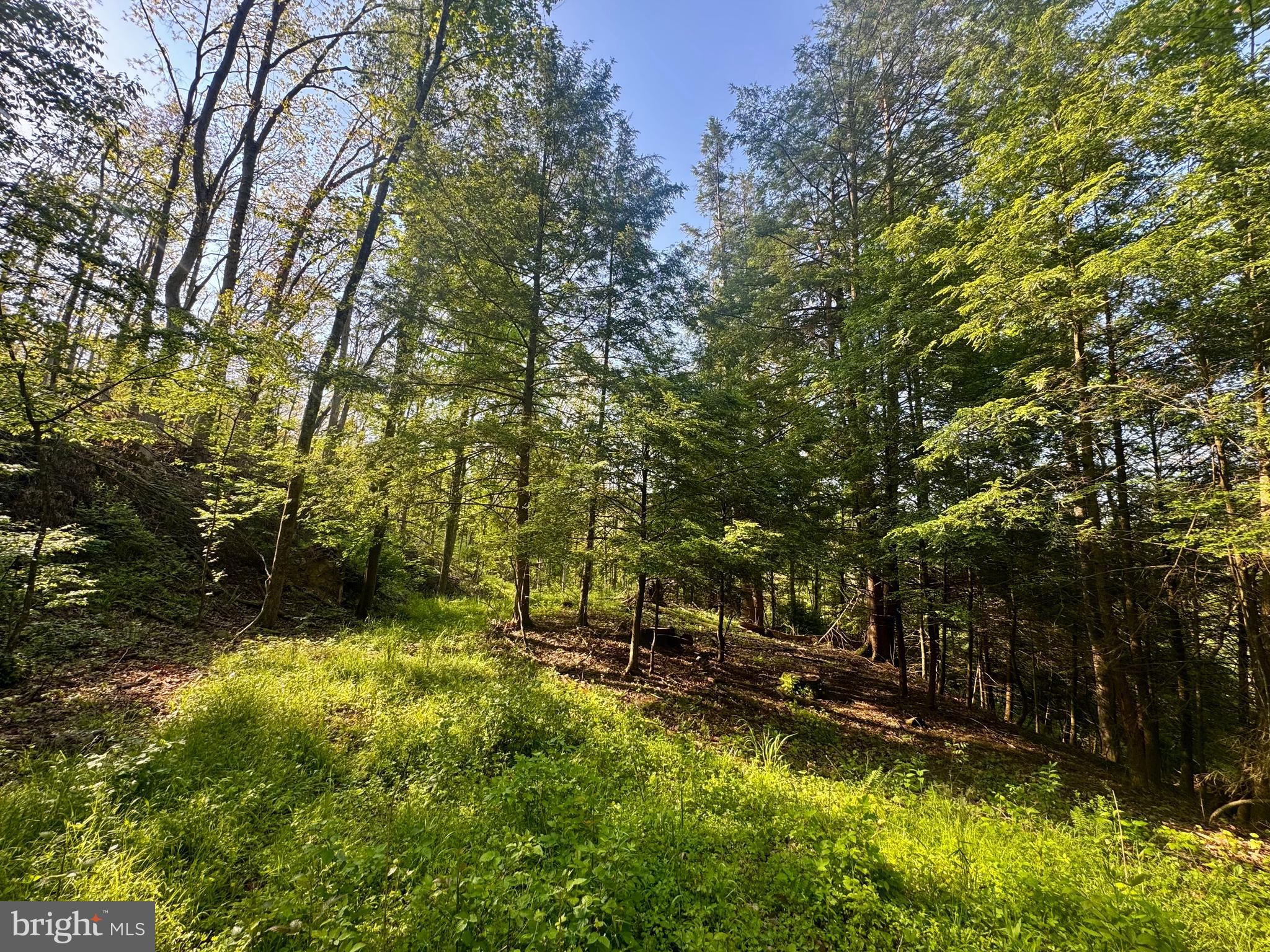 John Orr Road Independence, WV 26374 - Photo 1 of 37