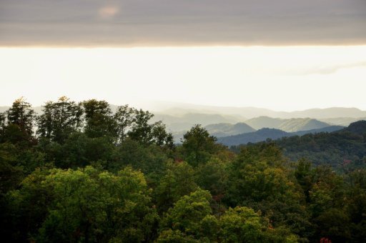 3650 Sevierville, TN 37862 - Photo 17 of 38 Additional Photo