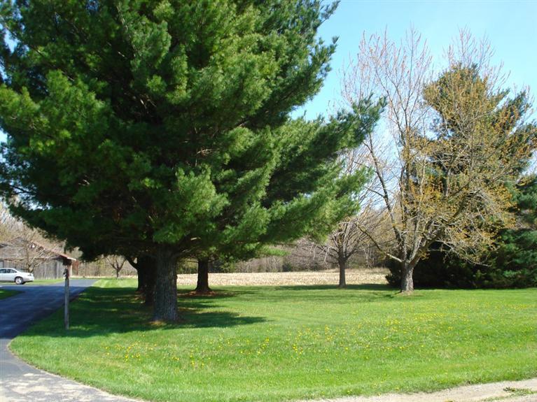 4563 Thar Road Coloma, MI 49038 - Photo 13 of 14 Additional Photo