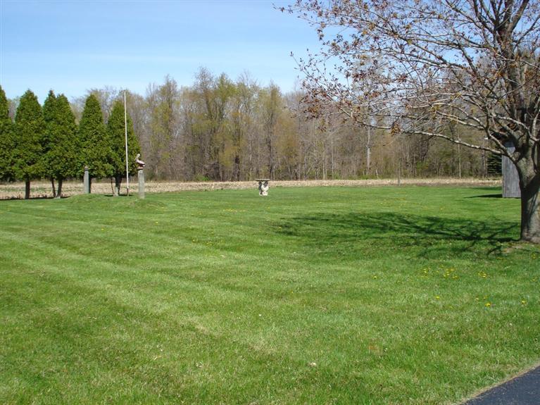 4563 Thar Road Coloma, MI 49038 - Photo 9 of 14 Additional Photo