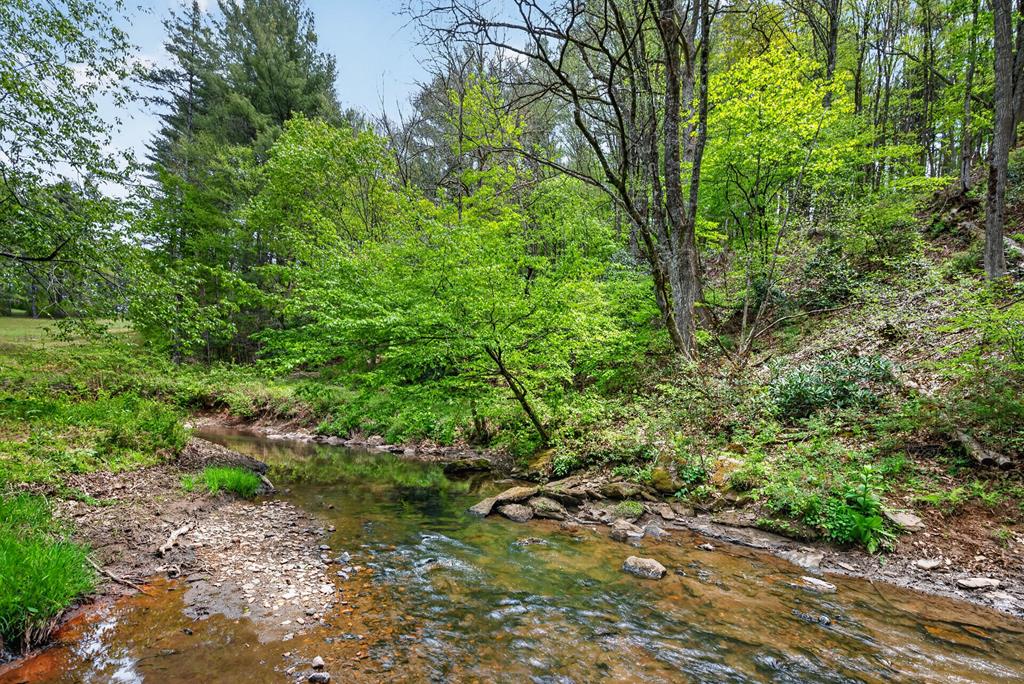 1768 Shelor Road Southwest Meadows Of Dan, VA 24120 - Photo 80 of 92 Gallery Image 80