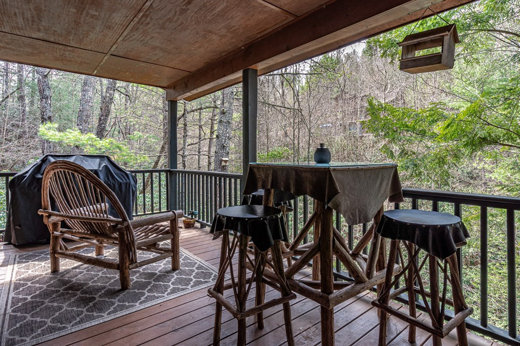 325 Trickling Branch Way Murphy, NC 28906 - Photo 16 of 58