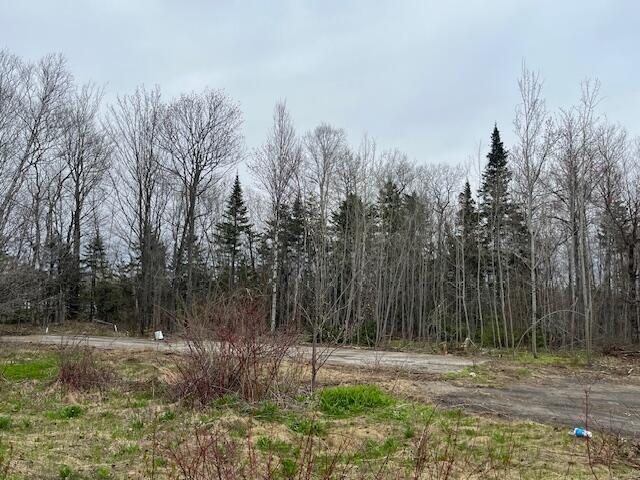 443 Caribou Road Presque Isle, ME 04769 - Photo 29 of 39 443 Caribou Rd