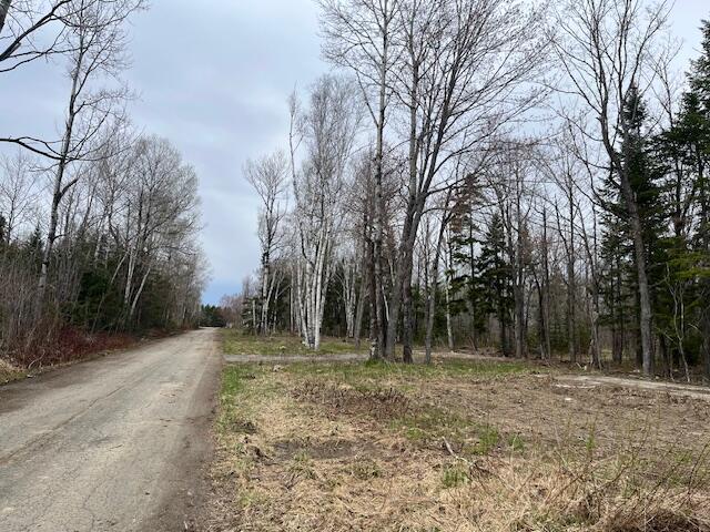 443 Caribou Road Presque Isle, ME 04769 - Photo 32 of 39 443 Caribou Rd