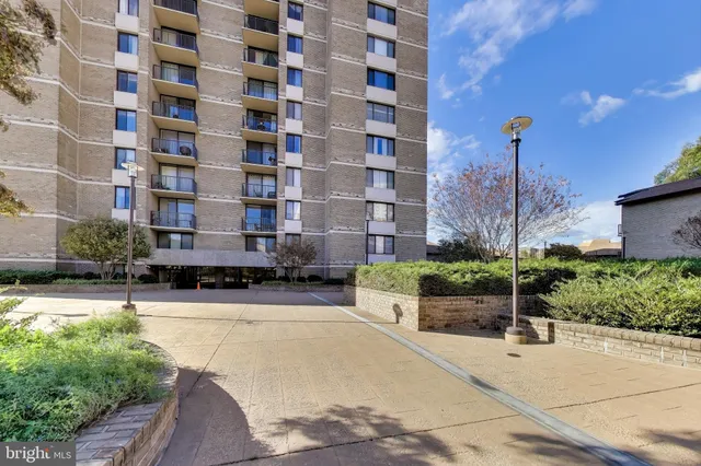 a row of palm trees in front of a building