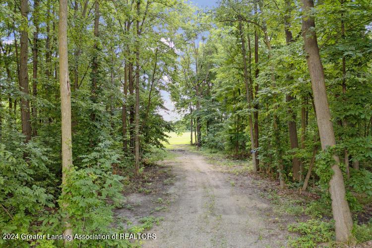 0 East Lansing Road Morrice, MI 48857 - Photo 14 of 15 t5s40ewfpz