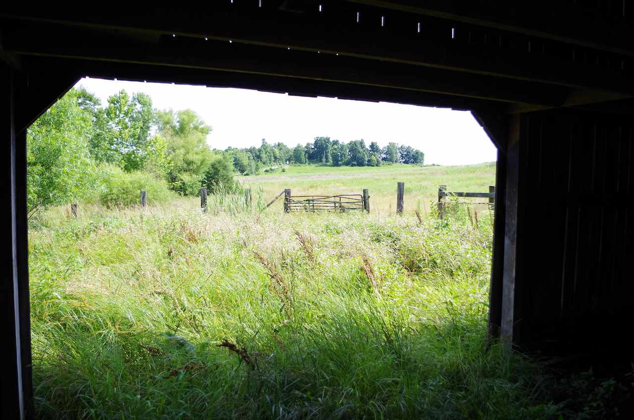 730 Jetson Cut-Off Road Morgantown, KY 42261 - Photo 11 of 12 Gallery Image 11