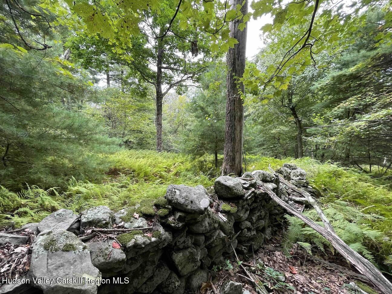 0 Oak Ridge Road Ellenville, NY 12428 - Photo 7 of 18 Hill10ac5