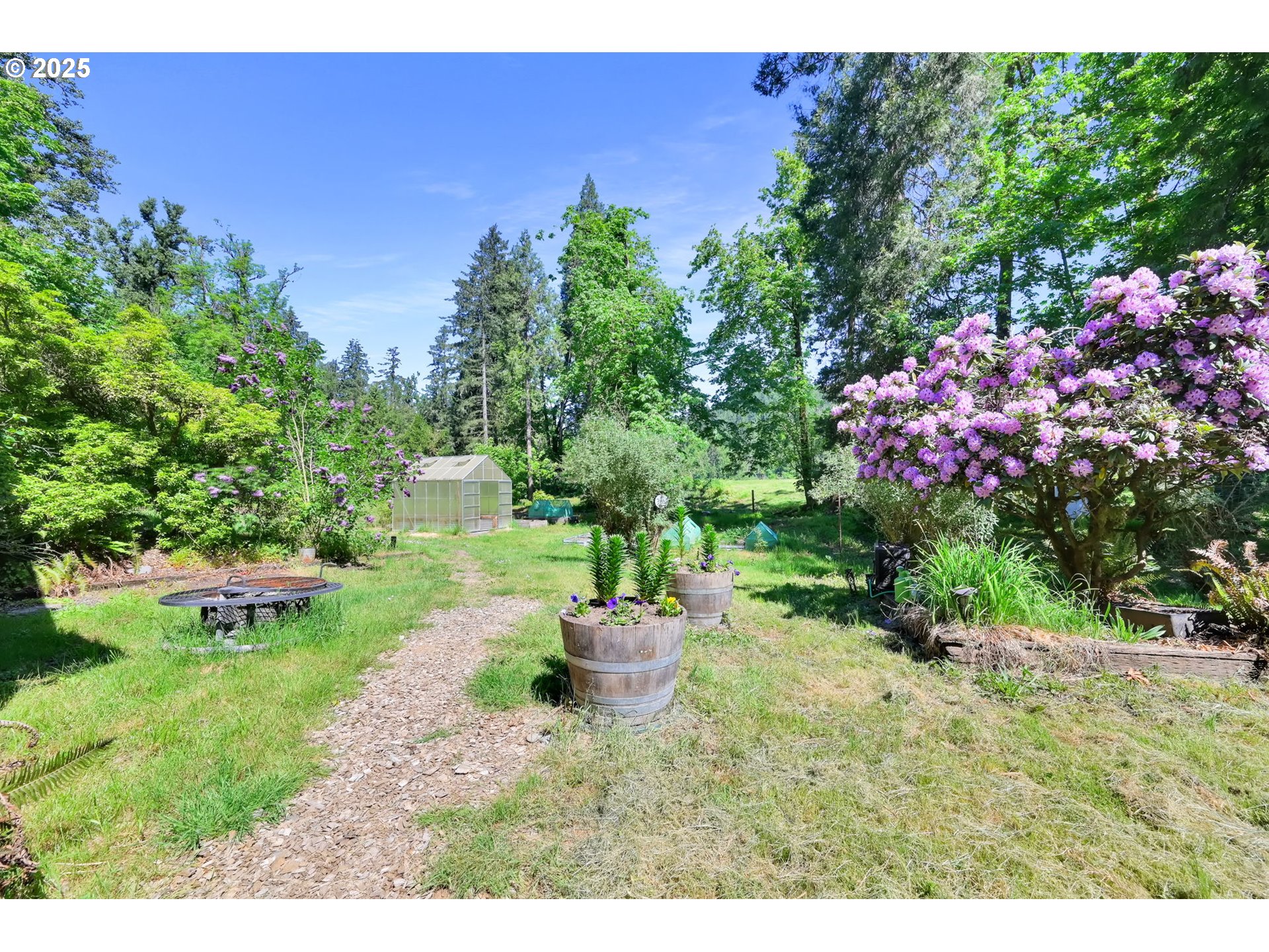 38383 Kickbusch Lane Springfield, OR 97478 - Photo 35 of 44 a view of a backyard with garden and plants