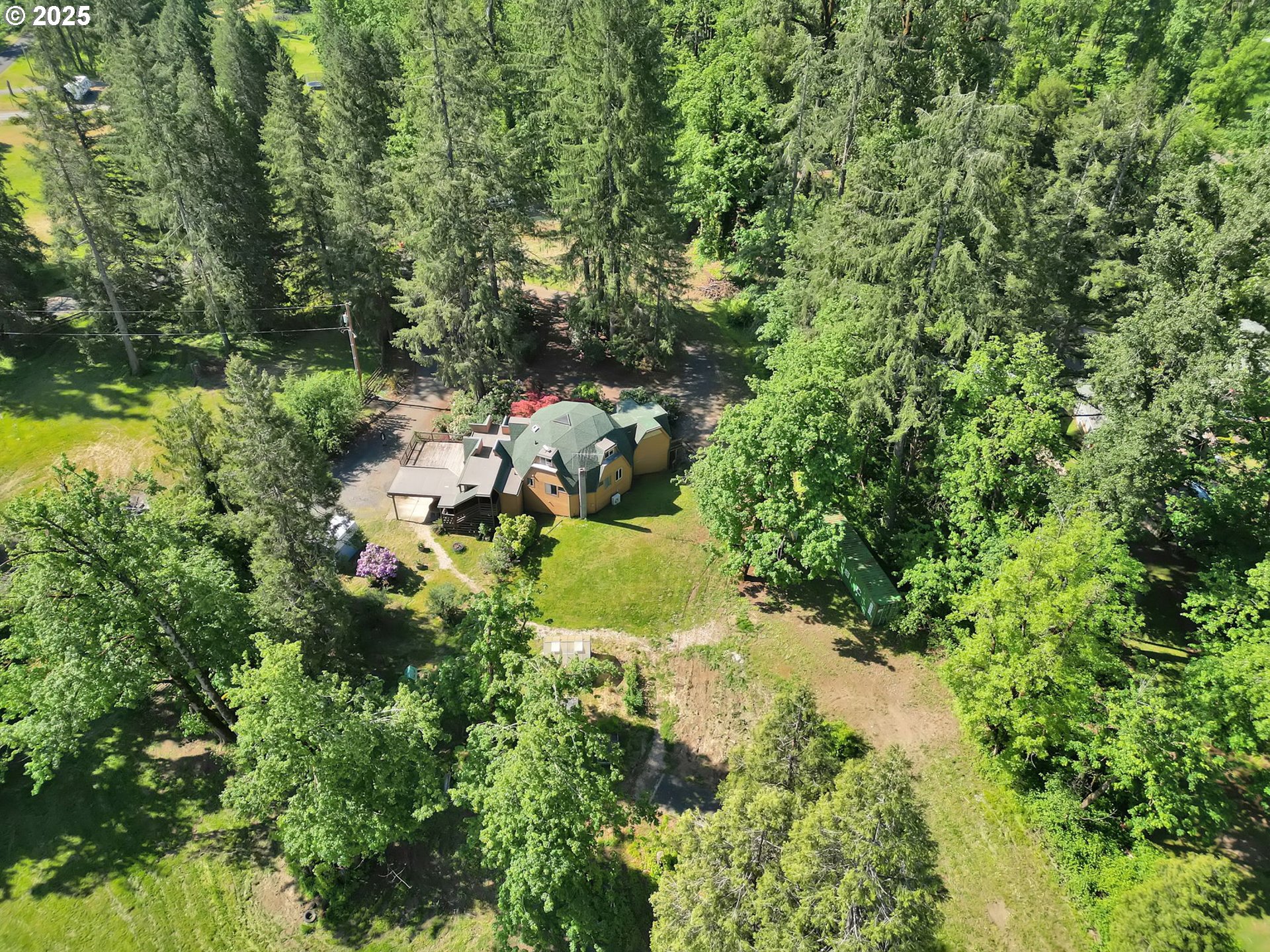 38383 Kickbusch Lane Springfield, OR 97478 - Photo 43 of 44 a view of a garden with plants and large trees