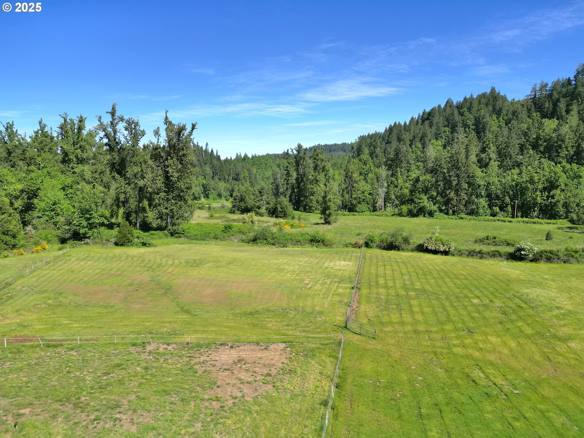 38383 Kickbusch Lane Springfield, OR 97478 - Photo 44 of 44 a view of a field with an trees