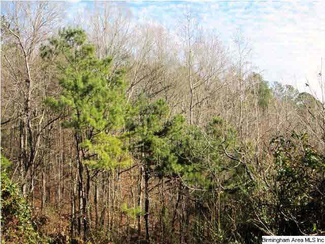 Blakes Ferry Road, Unit 80 Lineville, AL 36266 - Photo 6 of 8