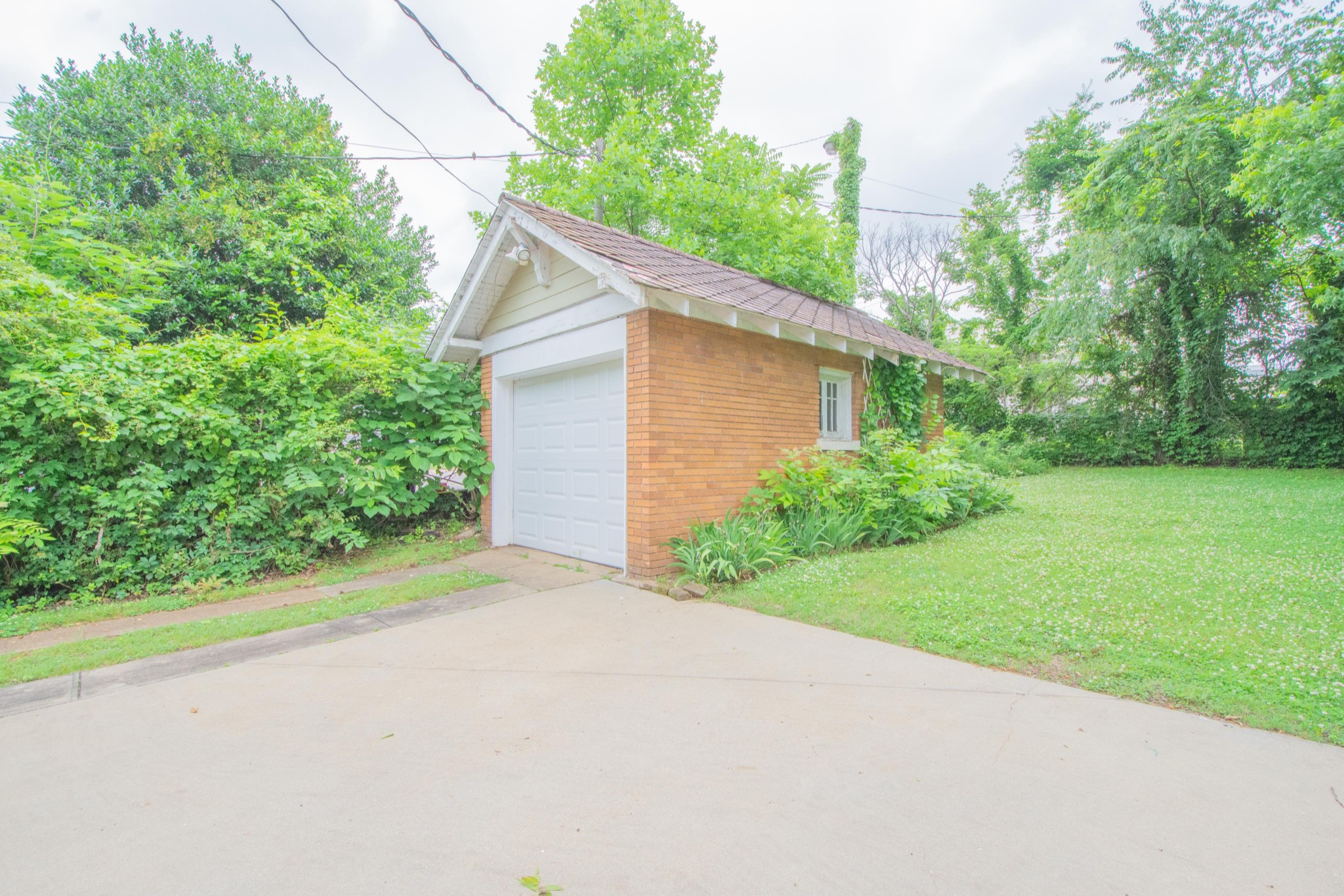 311 South 3rd Street Pulaski, TN 38478 - Photo 39 of 44 a view of a backyard with plants and large tree