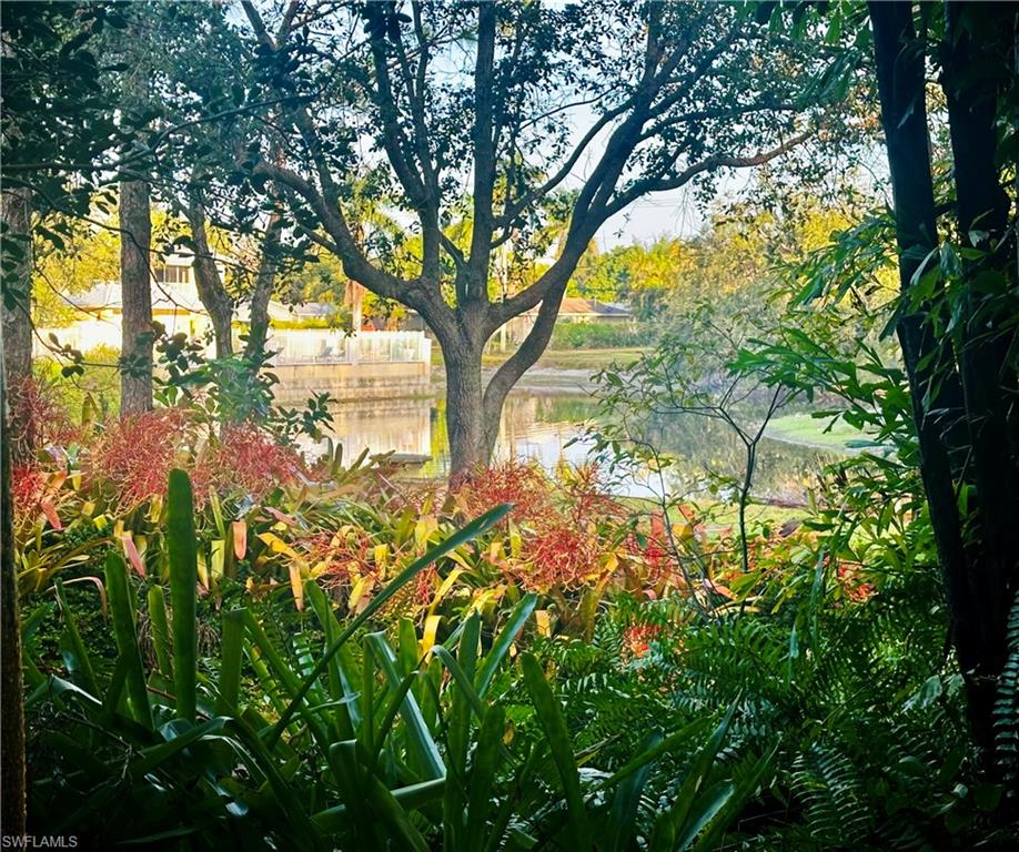 1295 Solana Road, Unit C5 Naples, FL 34103 - Photo 6 of 13 a view of tree