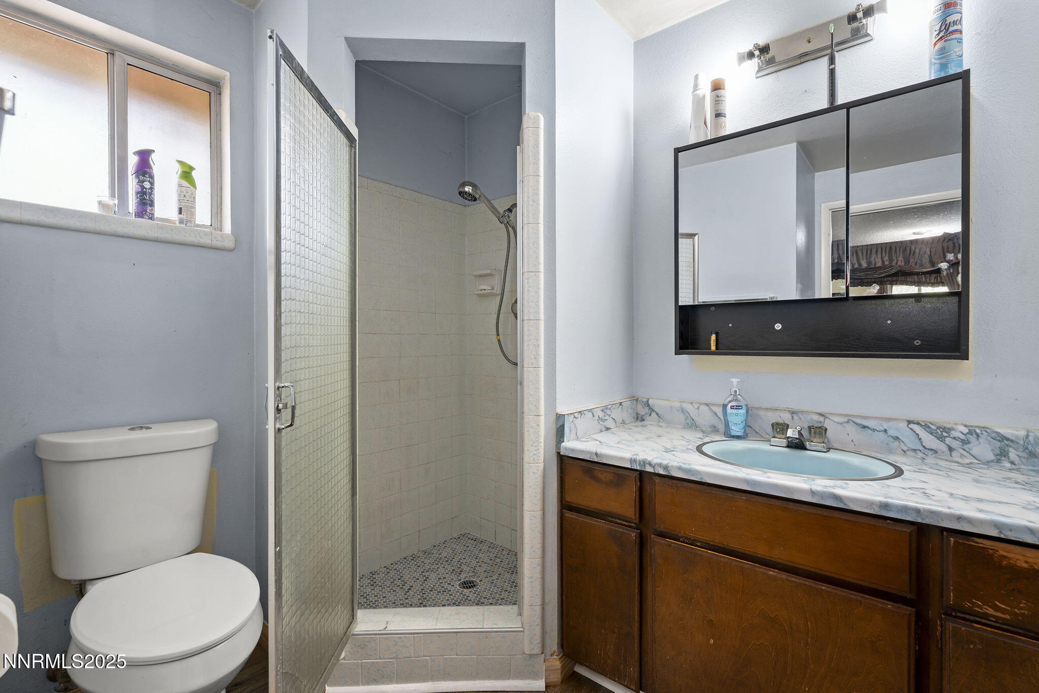 14590 Rancheros Drive Reno, NV 89521 - Photo 17 of 31 a bathroom with a sink a toilet and shower