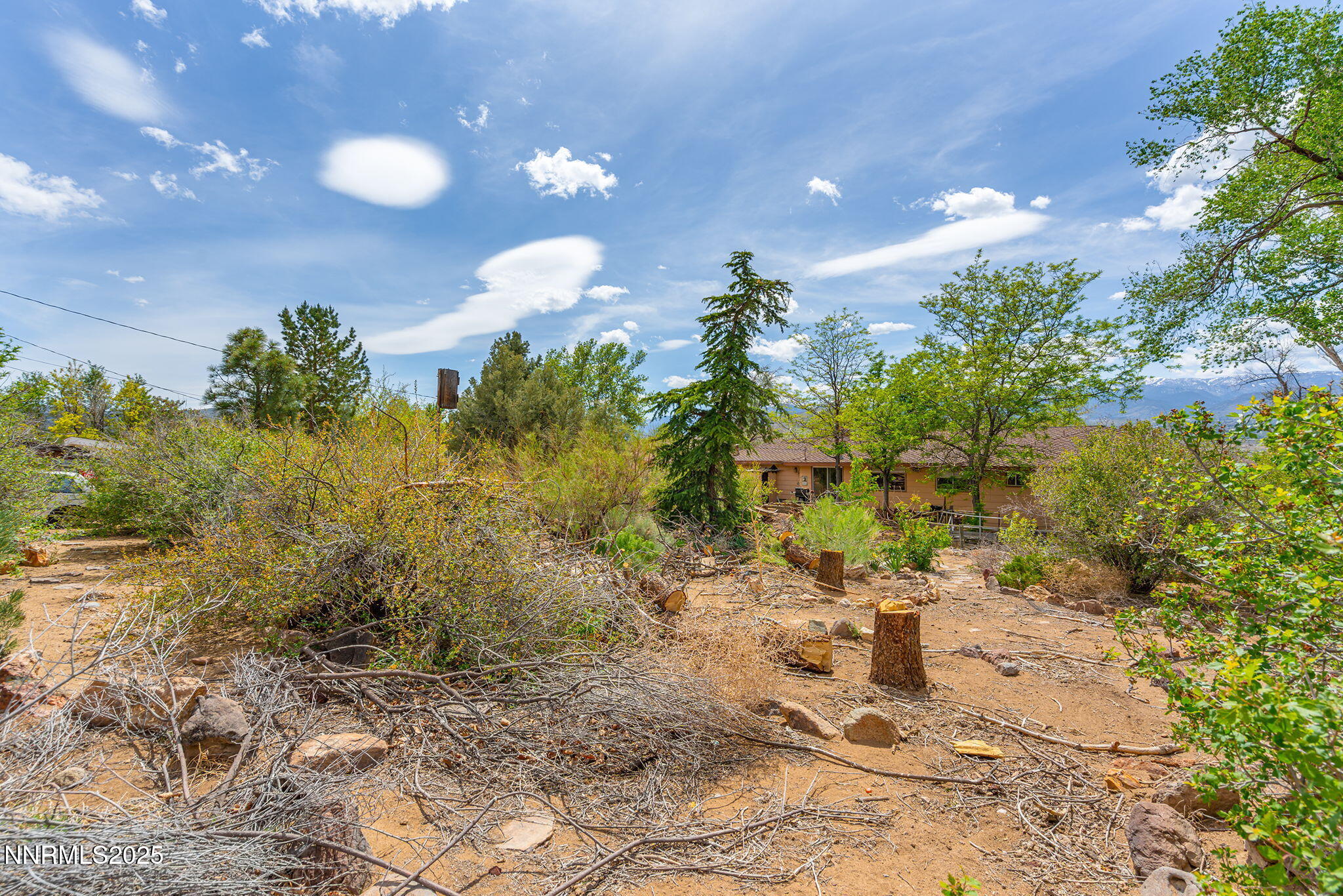 14590 Rancheros Drive Reno, NV 89521 - Photo 26 of 31 a view of a yard