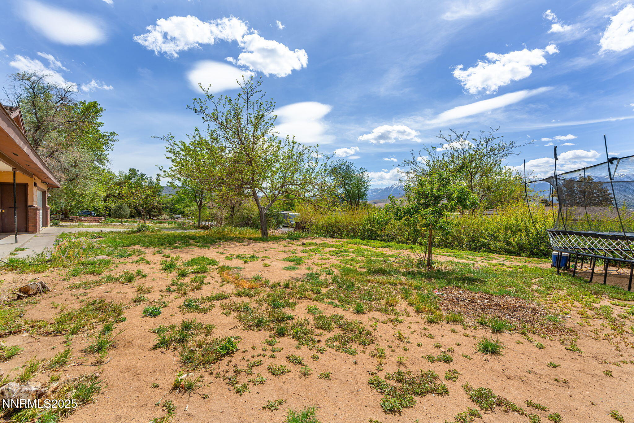 14590 Rancheros Drive Reno, NV 89521 - Photo 3 of 31 a view of a yard with a tree