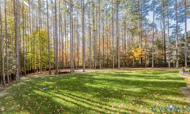 a big yard with large trees