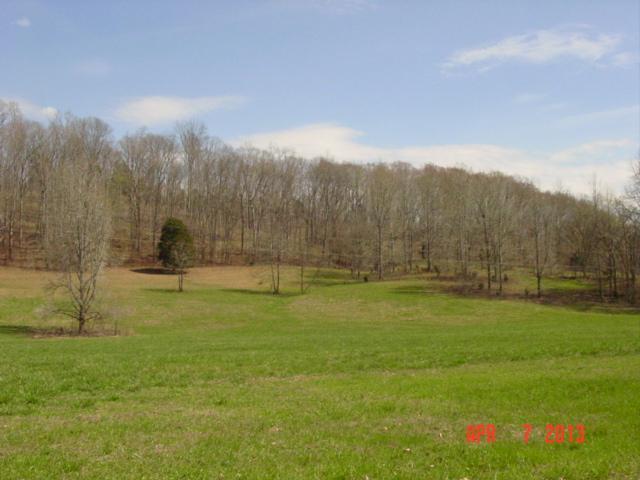 0 Willie's Branch Road Centerville, TN 37033 - Photo 1 of 20 Gallery Image 1