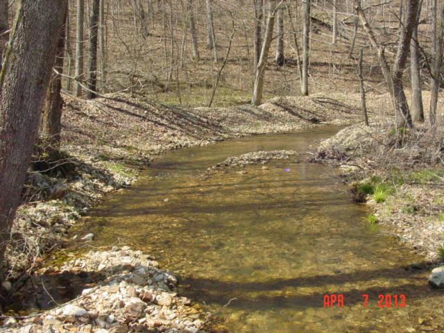 0 Willie's Branch Road Centerville, TN 37033 - Photo 11 of 20 Gallery Image 11