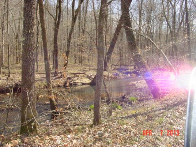 0 Willie's Branch Road Centerville, TN 37033 - Photo 13 of 20 Gallery Image 13