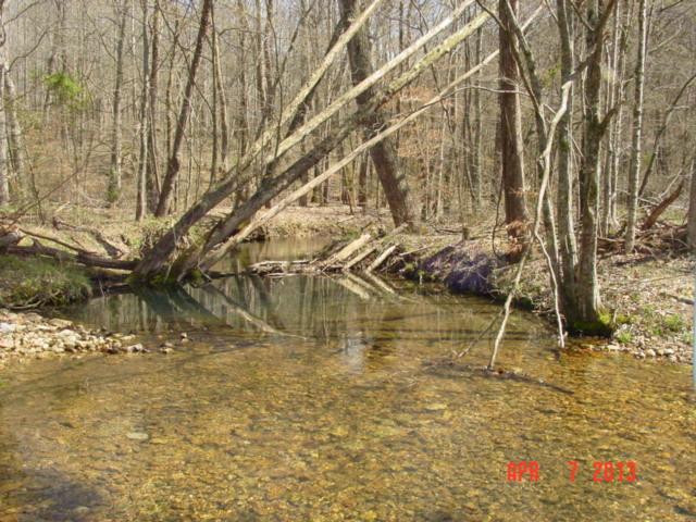 0 Willie's Branch Road Centerville, TN 37033 - Photo 14 of 20 Gallery Image 14