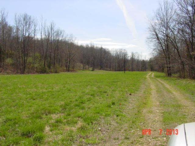 0 Willie's Branch Road Centerville, TN 37033 - Photo 15 of 20 Gallery Image 15