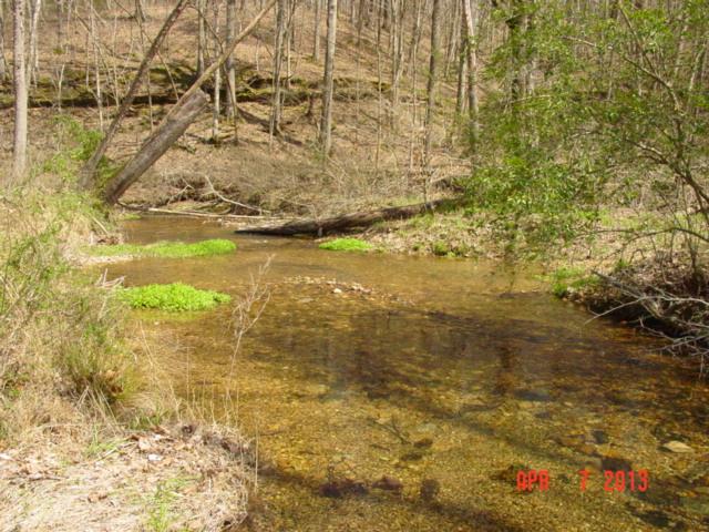0 Willie's Branch Road Centerville, TN 37033 - Photo 16 of 20 Gallery Image 16