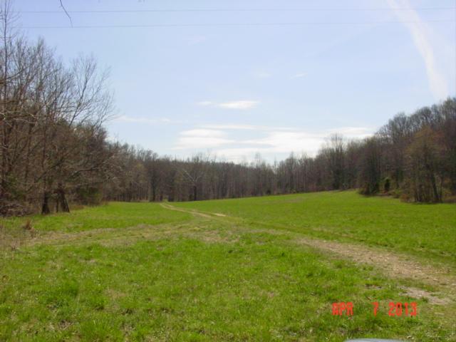 0 Willie's Branch Road Centerville, TN 37033 - Photo 17 of 20 Gallery Image 17