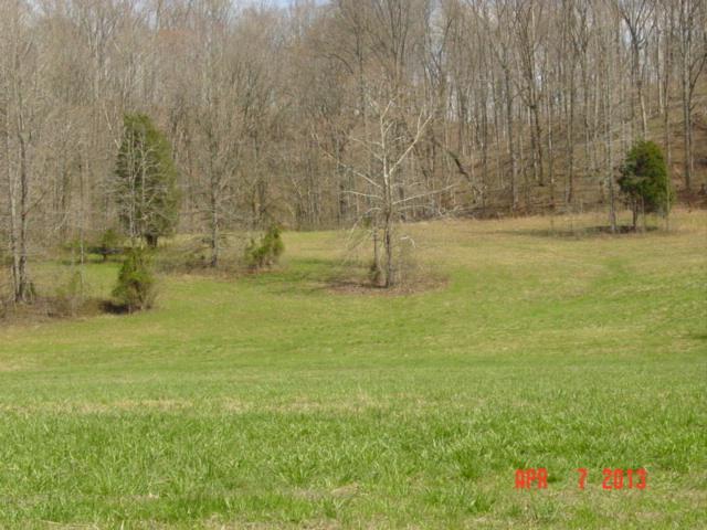 0 Willie's Branch Road Centerville, TN 37033 - Photo 19 of 20 Gallery Image 19