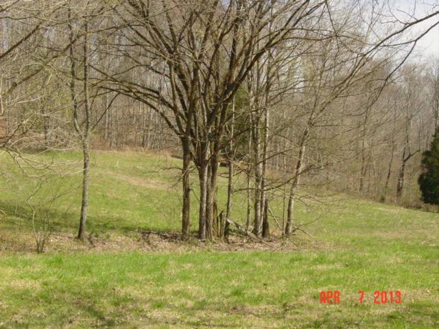 0 Willie's Branch Road Centerville, TN 37033 - Photo 20 of 20 Gallery Image 20